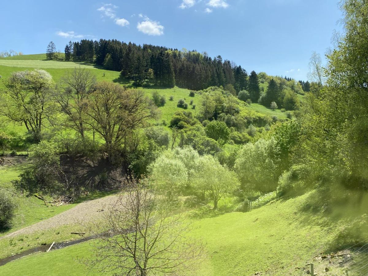 Ferienhaus Rehblick Rockeskyll ภายนอก รูปภาพ